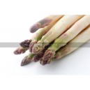 Plant potager : ASPERGE Argenteuil  (Le lot de 10)